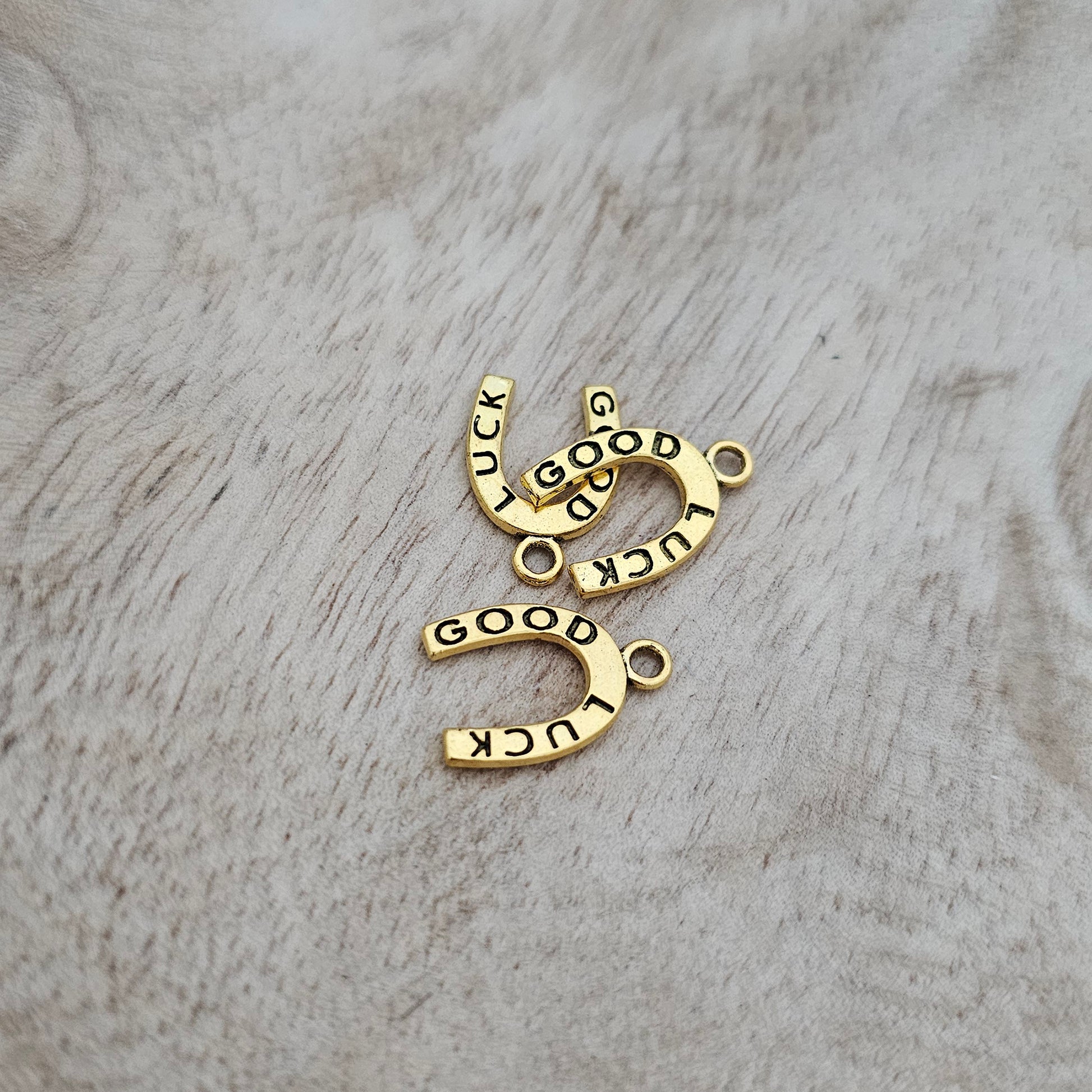 Custom Charm Good Luck Horseshoe Custom Charm Necklace